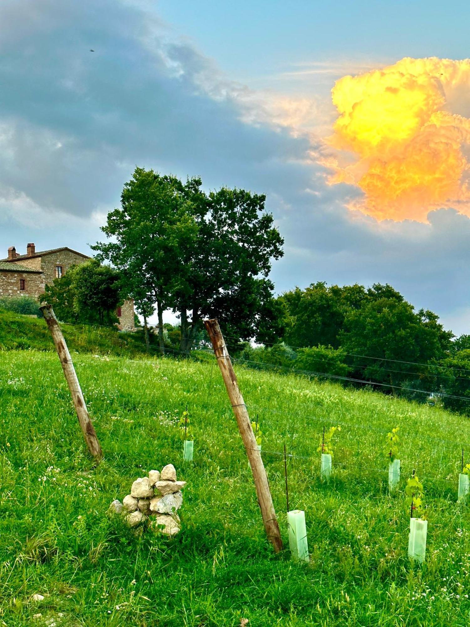 Lachiusa Tuscany Montefollonico Exterior foto